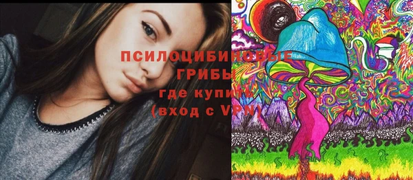 стафф Абаза